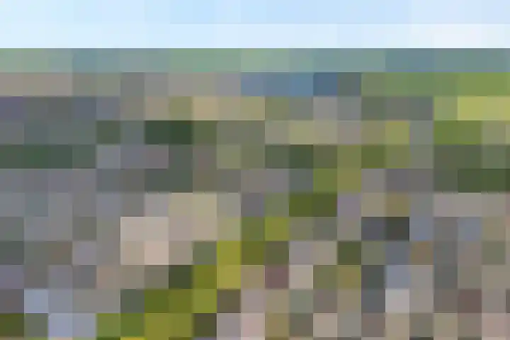 Klokkengieterlaan 110 Zwolle thumbnail 8