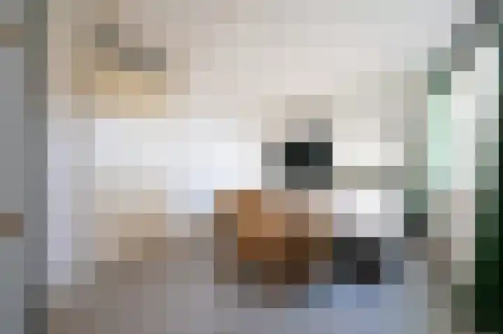 Klokkengieterlaan 116 Zwolle thumbnail 22