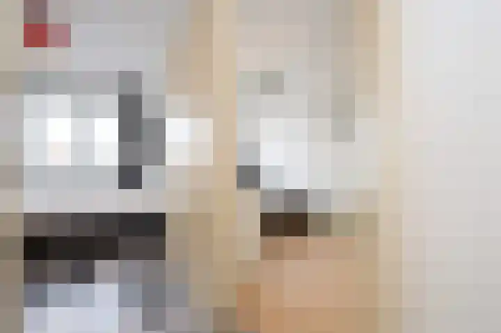 Klokkengieterlaan 116 Zwolle thumbnail 25