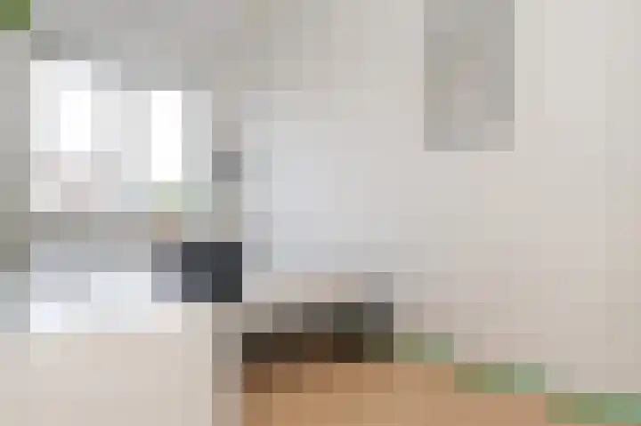 Klokkengieterlaan 116 Zwolle thumbnail 27