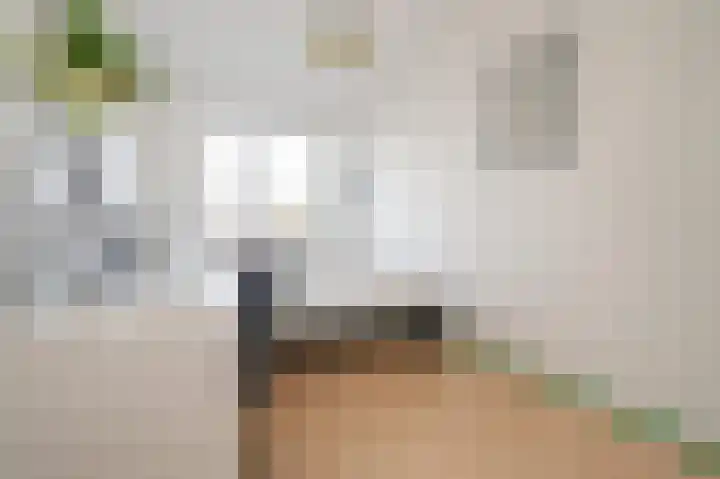 Klokkengieterlaan 116 Zwolle thumbnail 28