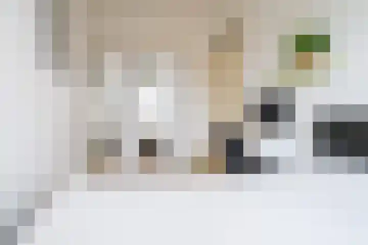 Klokkengieterlaan 116 Zwolle thumbnail 29