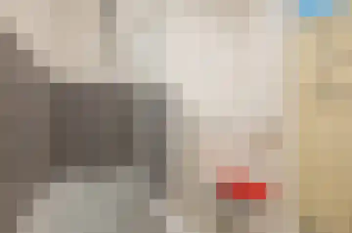 Klokkengieterlaan 116 Zwolle thumbnail 33