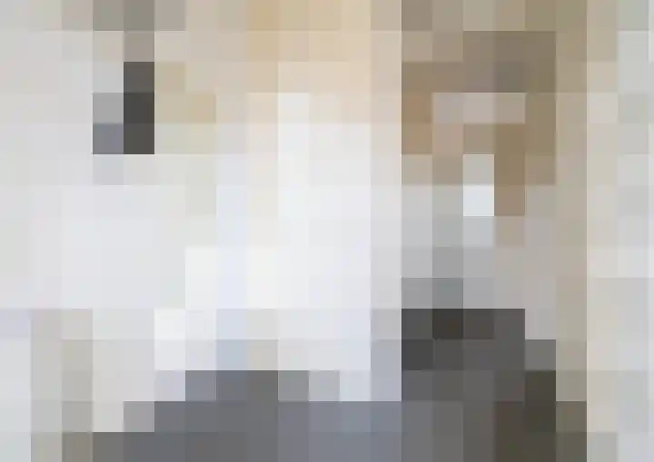 Klokkengieterlaan 116 Zwolle thumbnail 34
