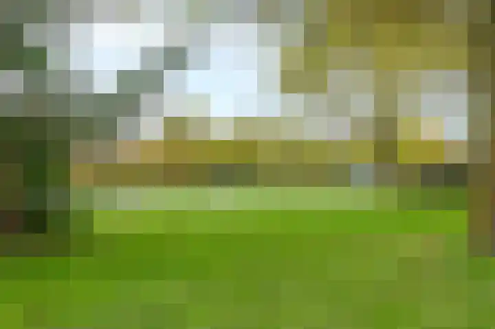 Klokkengieterlaan 116 Zwolle thumbnail 36