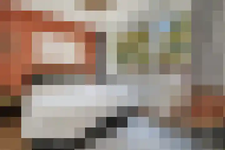 Klokkengieterlaan 30 Zwolle thumbnail 14