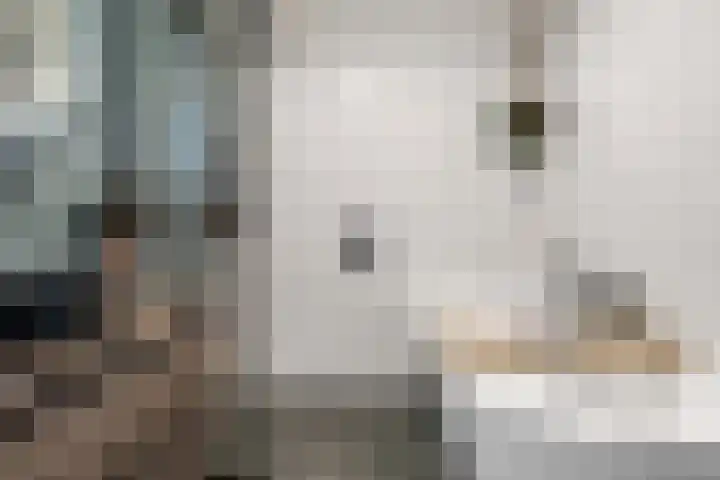 Klokkengieterlaan 30 Zwolle thumbnail 22