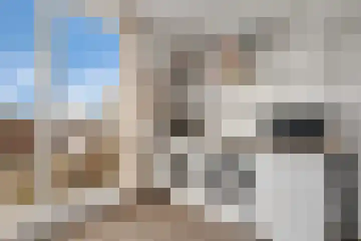 Klokkengieterlaan 30 Zwolle thumbnail 26