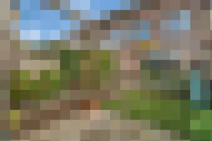 Klokkengieterlaan 30 Zwolle thumbnail 29