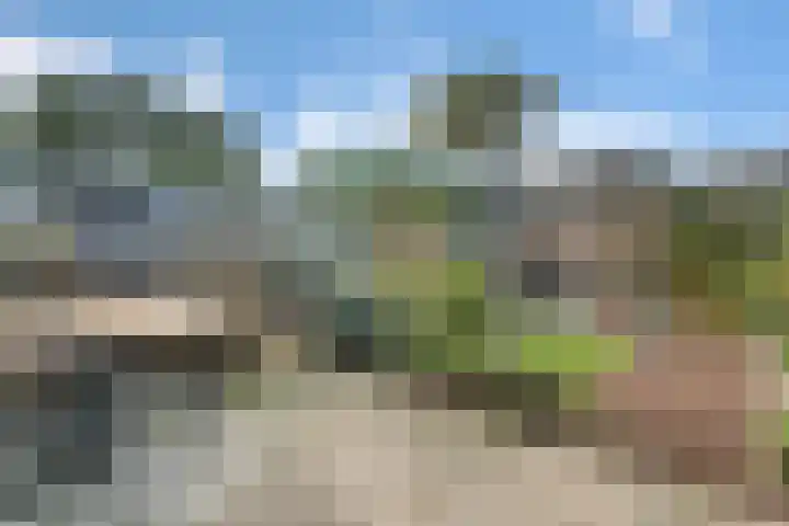 Klokkengieterlaan 30 Zwolle thumbnail 32