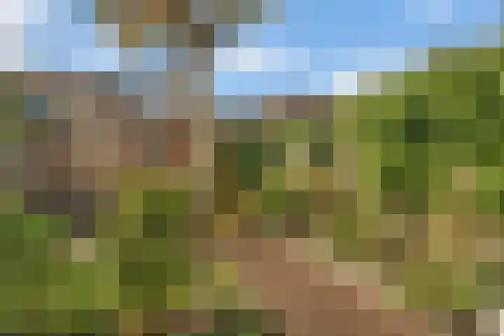 Klokkengieterlaan 30 Zwolle thumbnail 34