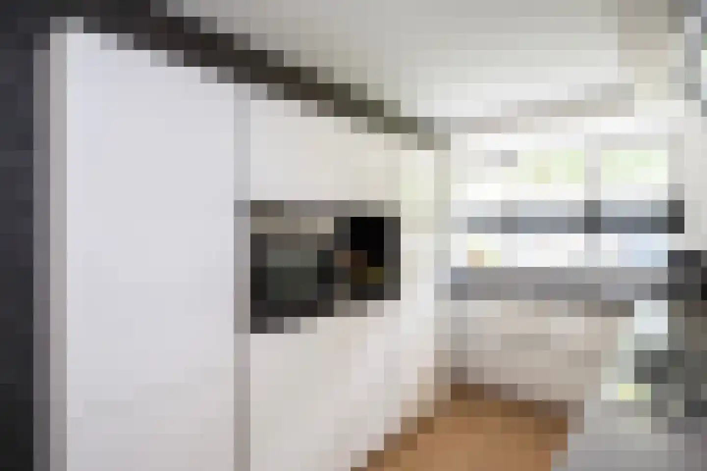 Klokkengieterlaan 36 Zwolle thumbnail 10