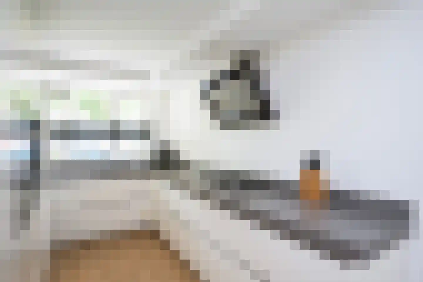 Klokkengieterlaan 36 Zwolle thumbnail 11