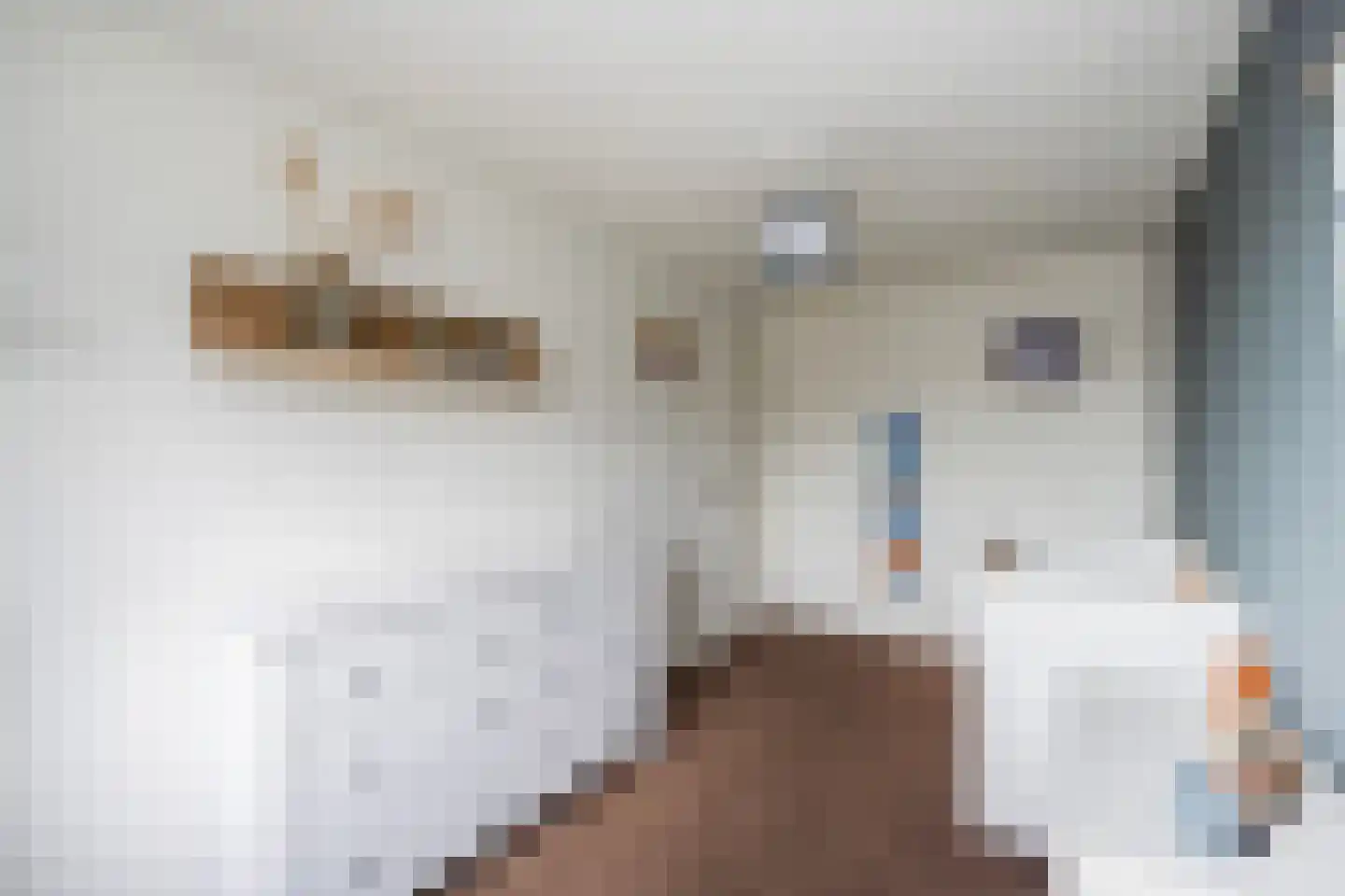 Klokkengieterlaan 36 Zwolle thumbnail 15