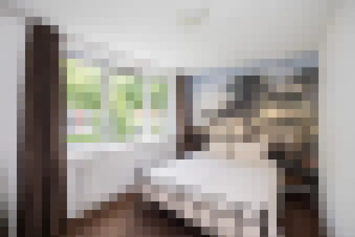Klokkengieterlaan 36 Zwolle thumbnail 16