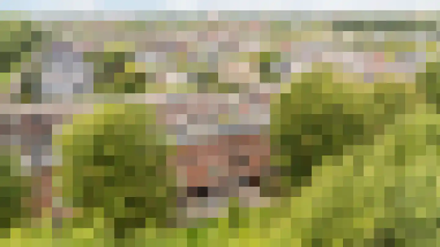 Klokkengieterlaan 36 Zwolle thumbnail 31