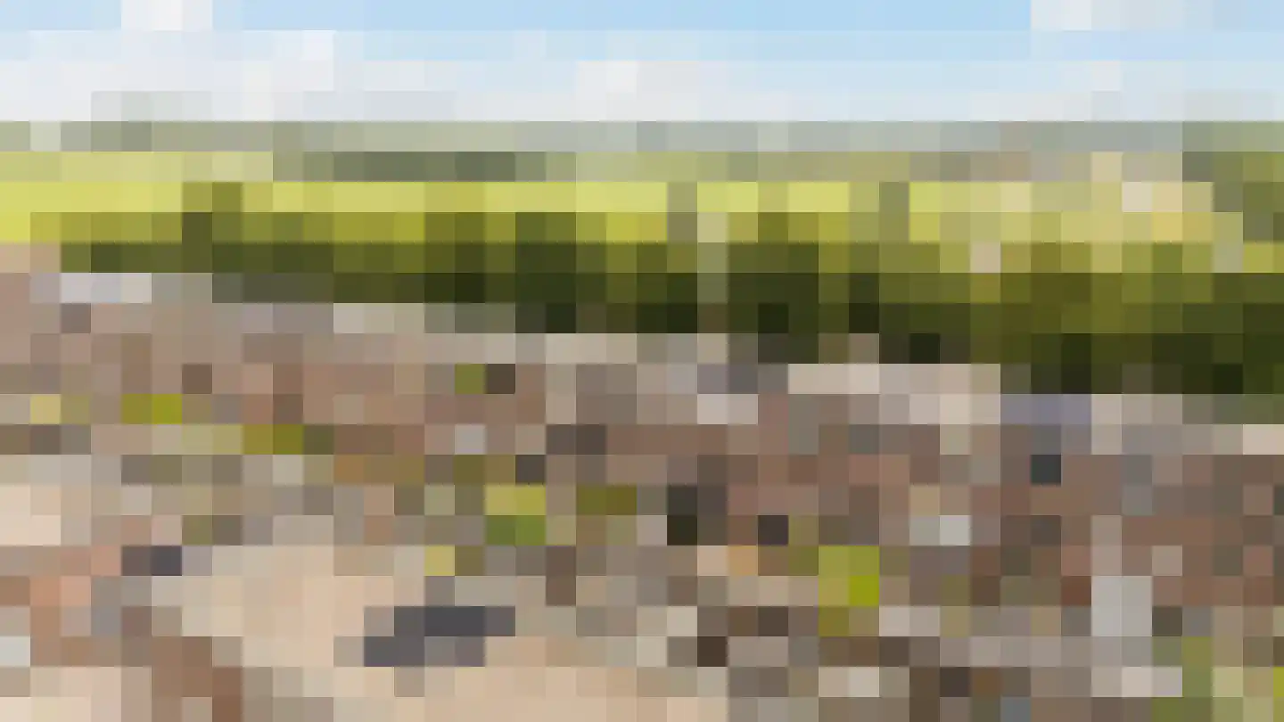 Klokkengieterlaan 36 Zwolle thumbnail 32