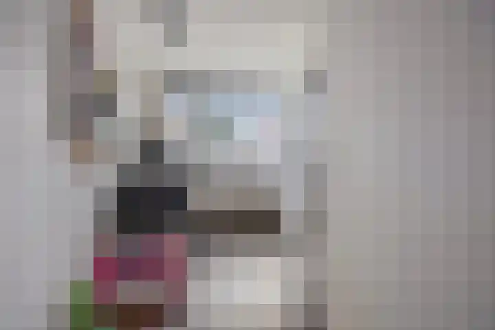 Klokkengieterlaan 52 Zwolle thumbnail 12
