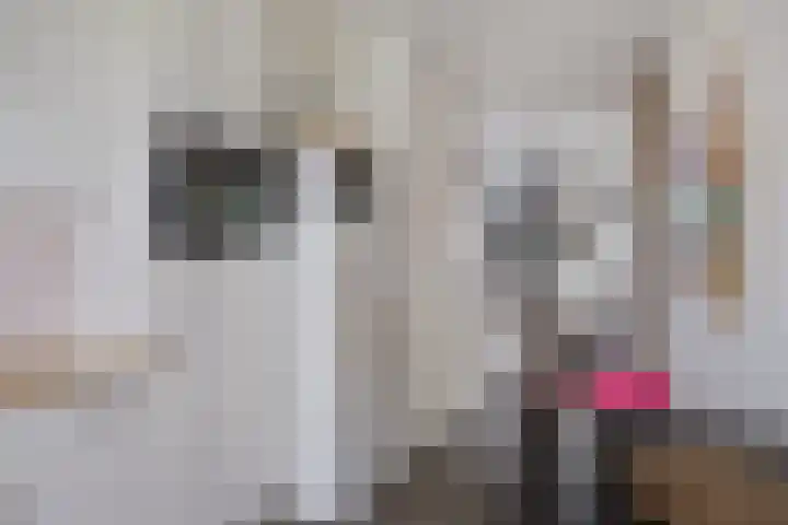 Klokkengieterlaan 52 Zwolle thumbnail 14