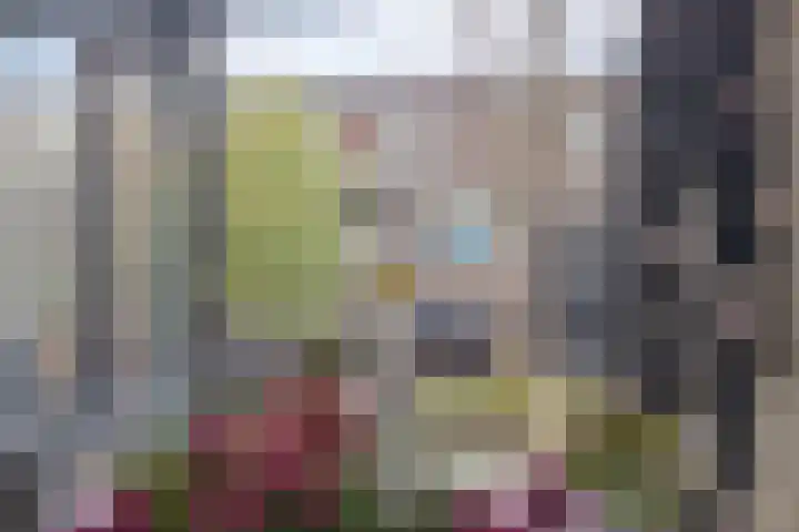 Klokkengieterlaan 52 Zwolle thumbnail 15