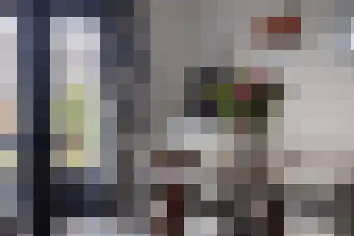Klokkengieterlaan 52 Zwolle thumbnail 17