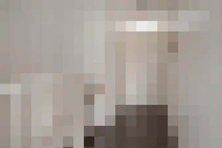 Klokkengieterlaan 52 Zwolle thumbnail 18