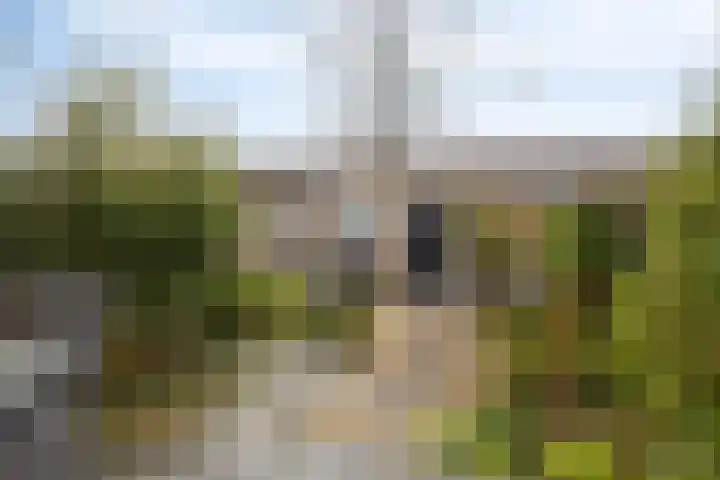 Klokkengieterlaan 52 Zwolle thumbnail 27