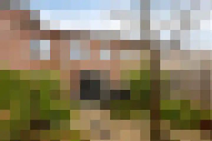 Klokkengieterlaan 52 Zwolle thumbnail 29