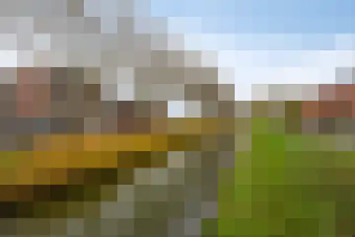 Klokkengieterlaan 52 Zwolle thumbnail 31