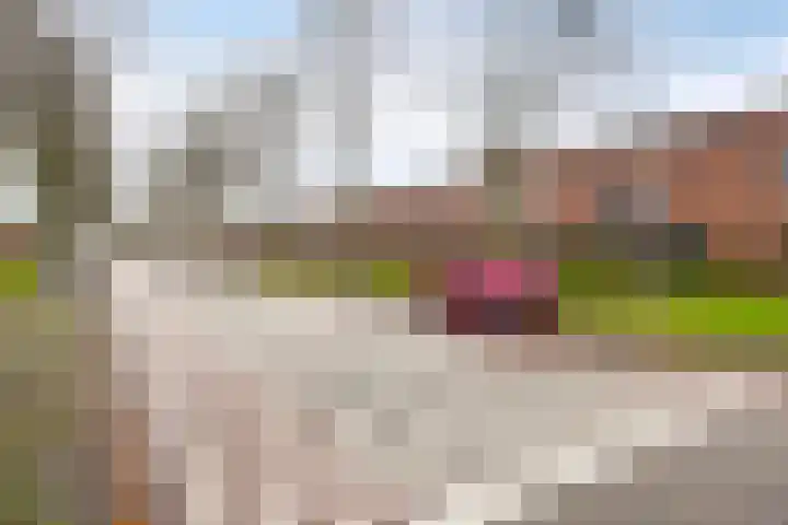 Klokkengieterlaan 52 Zwolle thumbnail 33