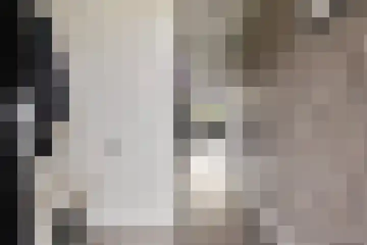 Klokkengieterlaan 52 Zwolle thumbnail 4
