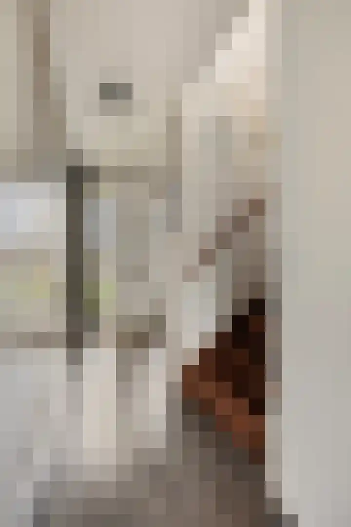 Klokkengieterlaan 52 Zwolle thumbnail 8