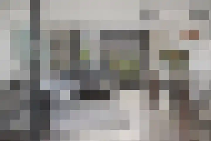 Klokkengieterlaan 52 Zwolle thumbnail 9