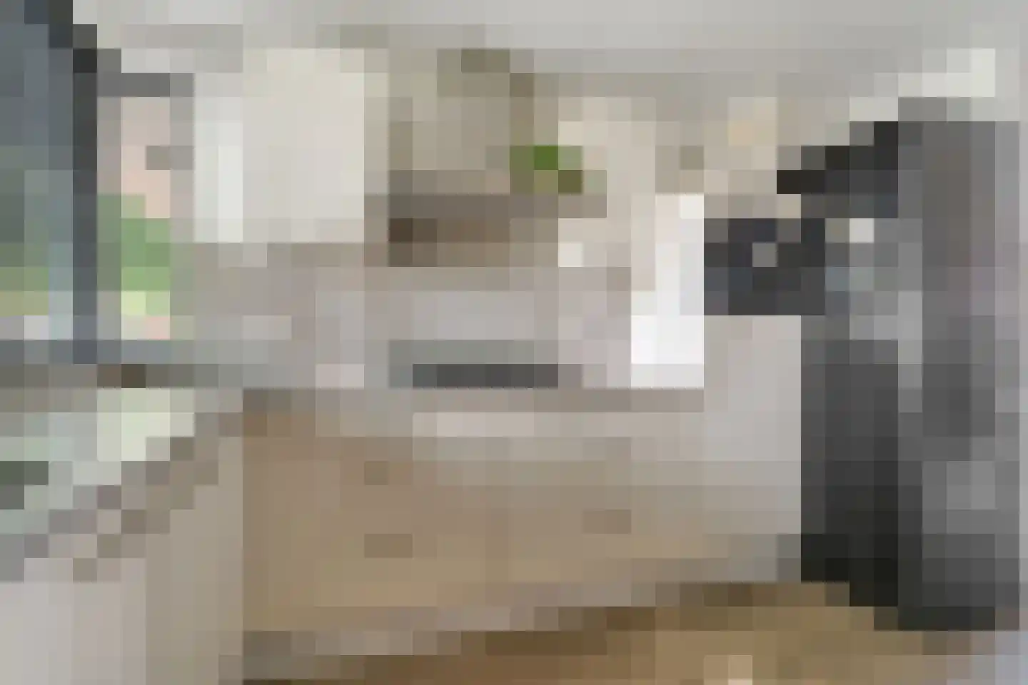 Klokkengieterlaan 56 Zwolle thumbnail 11
