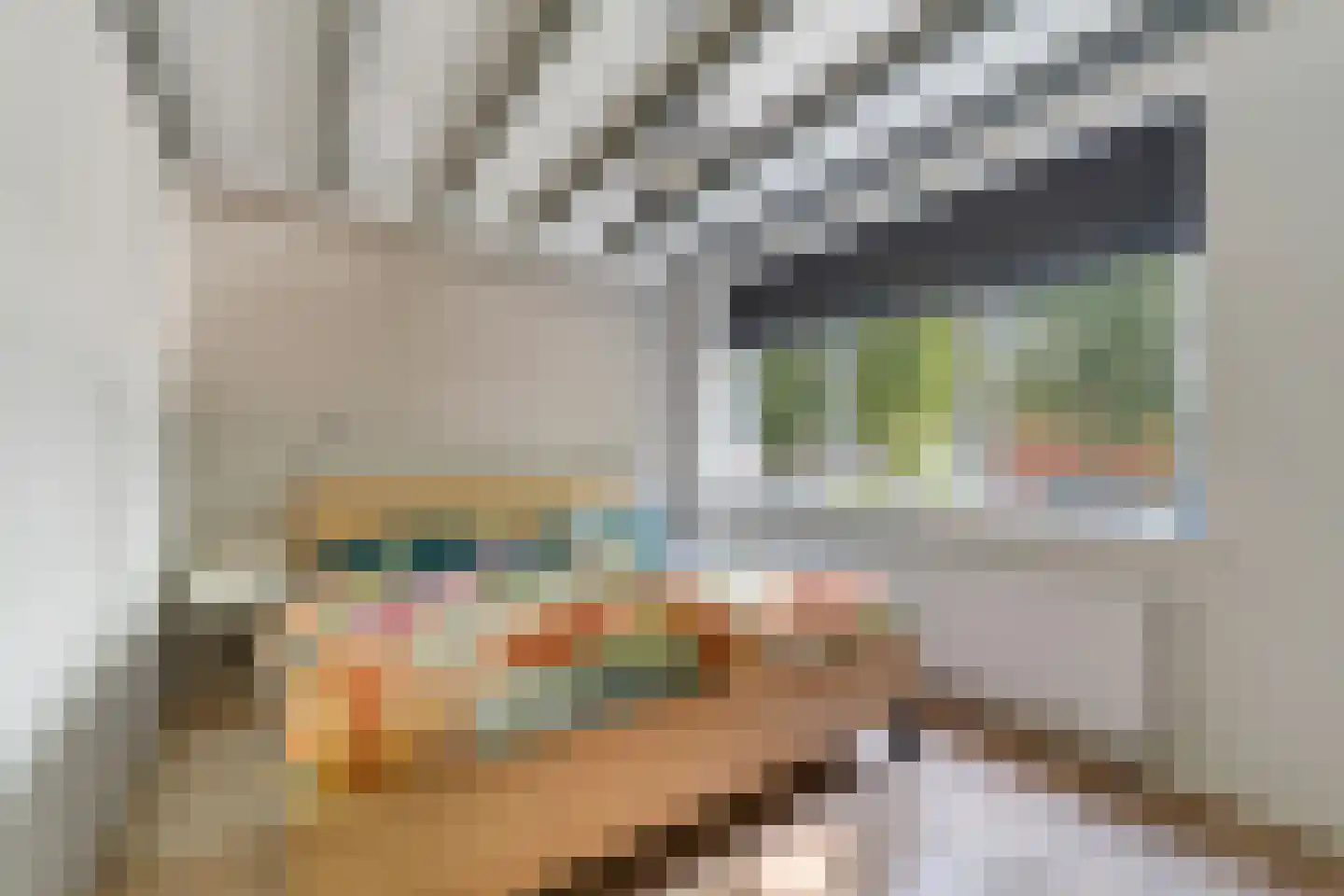 Klokkengieterlaan 56 Zwolle thumbnail 14