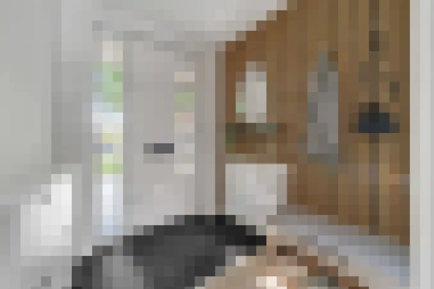 Klokkengieterlaan 56 Zwolle thumbnail 4