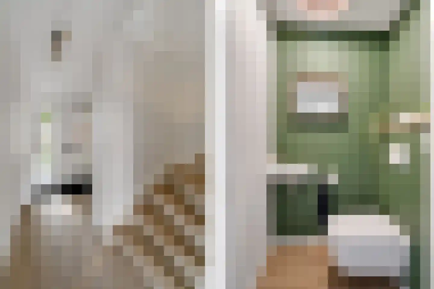 Klokkengieterlaan 56 Zwolle thumbnail 5