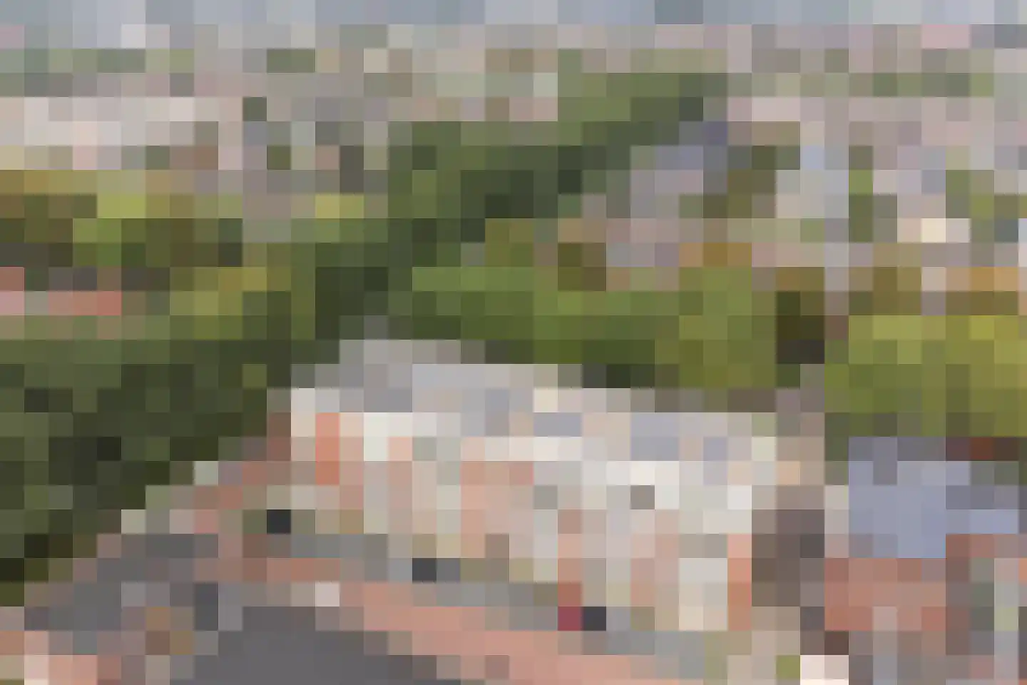 Klokkengieterlaan 9 204 Zwolle thumbnail 33