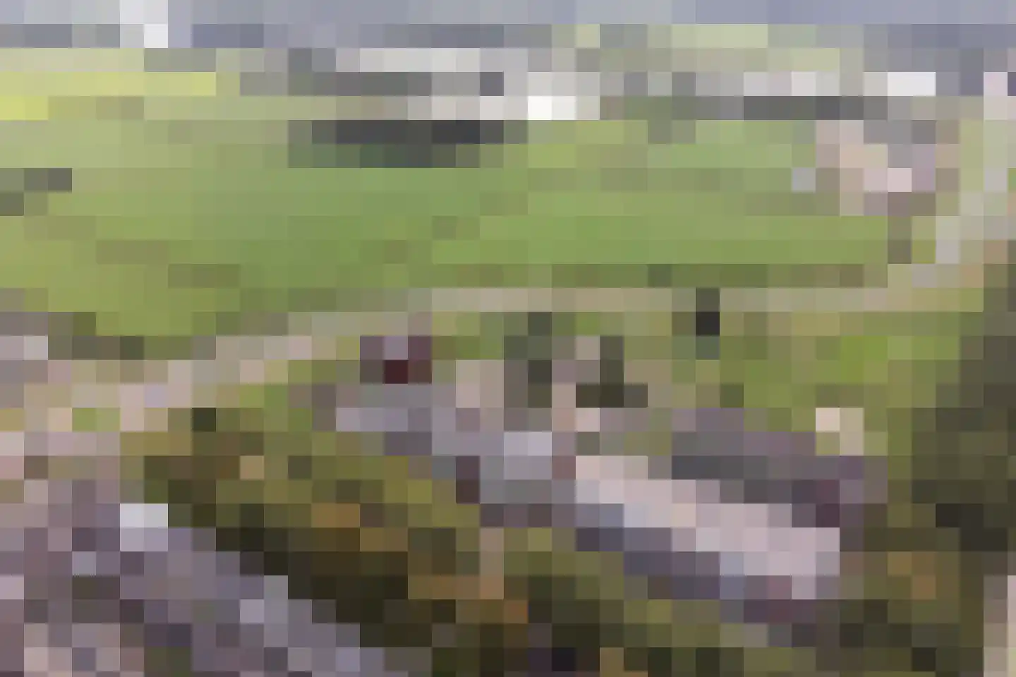 Klokkengieterlaan 9 204 Zwolle thumbnail 36