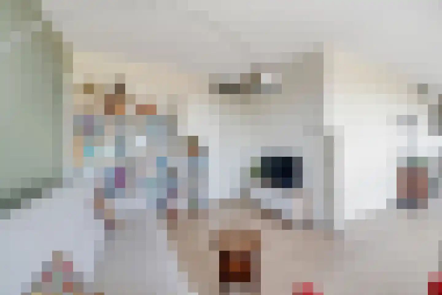 Klokkengieterlaan 9 303 Zwolle thumbnail 17