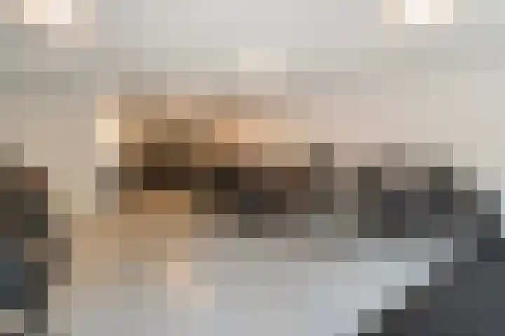 Klokkengieterlaan 9 306 Zwolle thumbnail 41