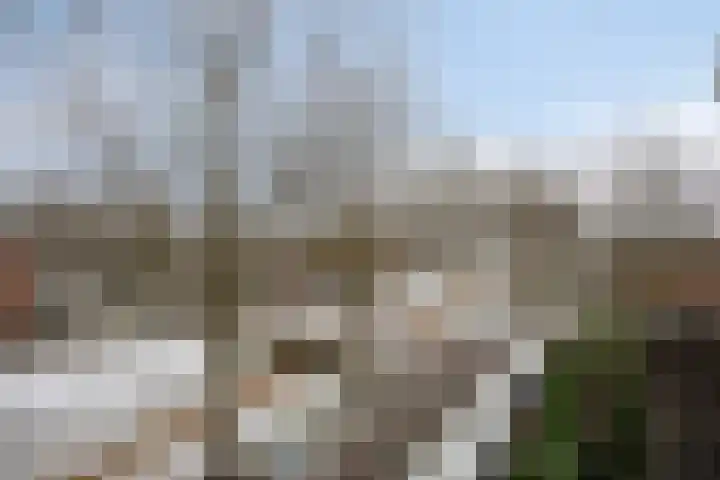 Klokkengieterlaan 9 307 Zwolle thumbnail 30
