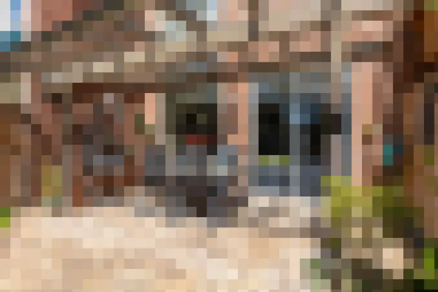 Klokkengietershoeve 138 Apeldoorn thumbnail 17