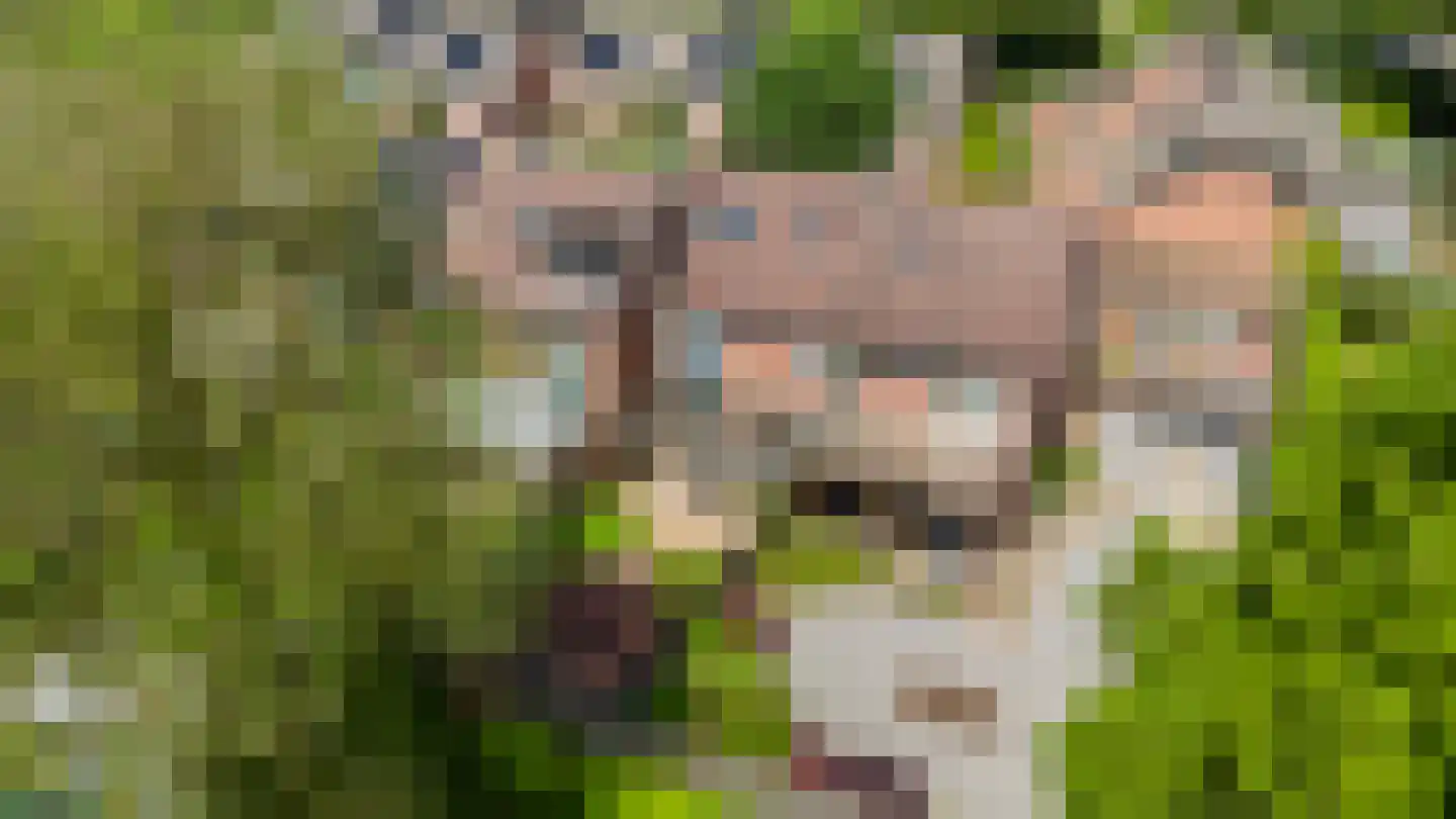Klokkengietershoeve 138 Apeldoorn thumbnail 42