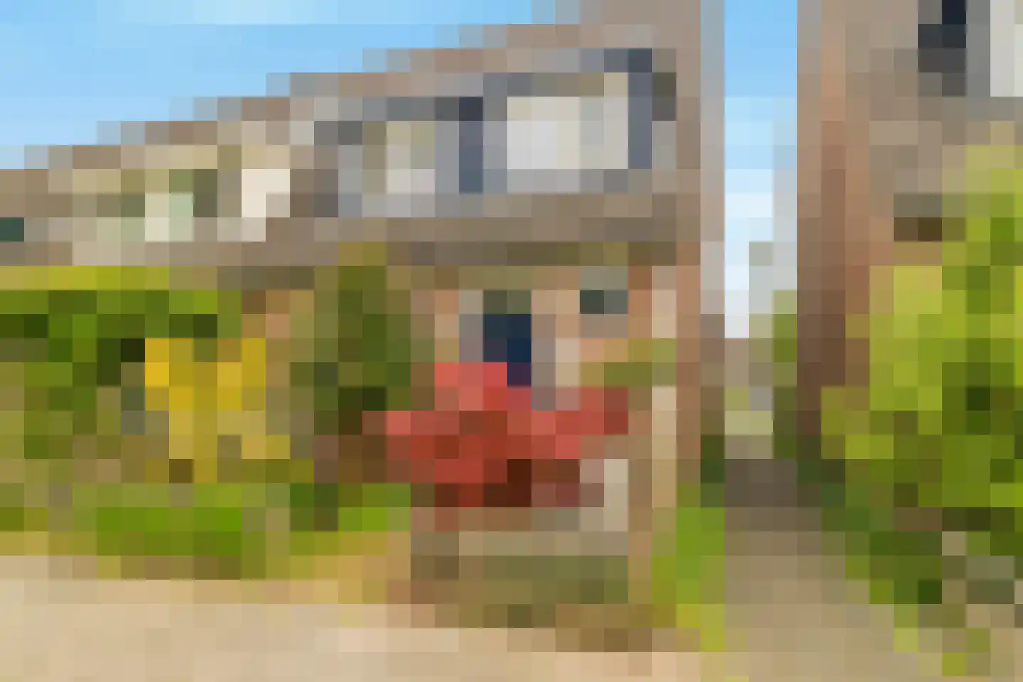 Klokkengieterstraat 23 Alkmaar thumbnail 5