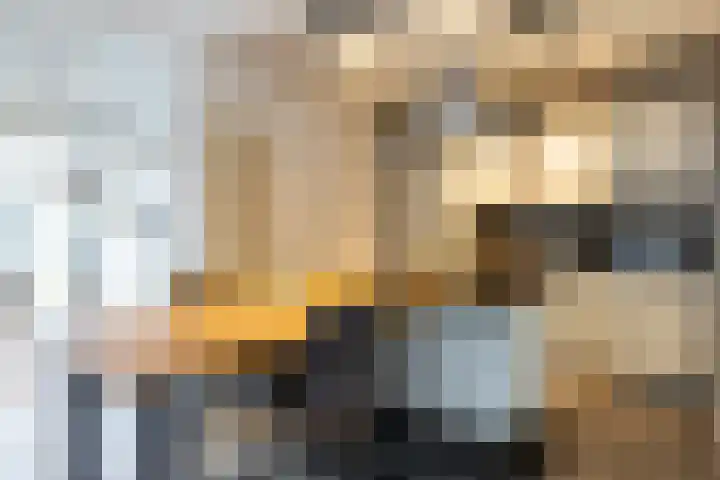 Klokkenmaker 10 Oost West en Middelbeers thumbnail 13