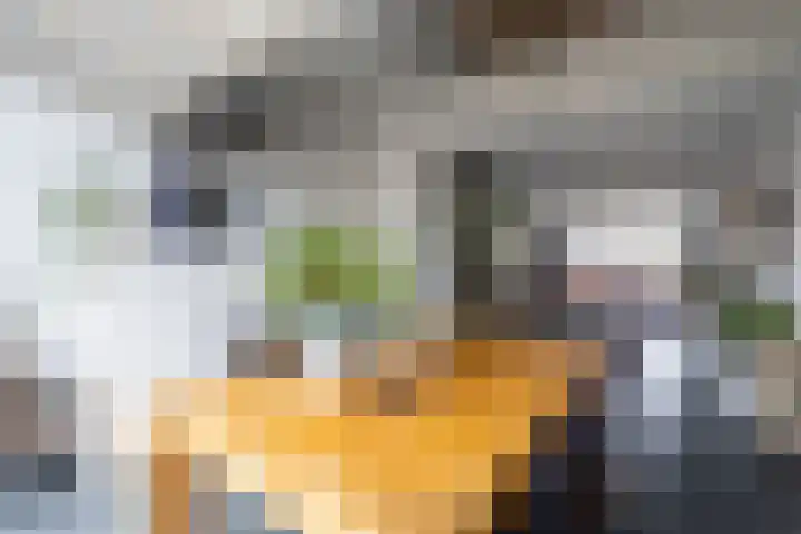 Klokkenmaker 10 Oost West en Middelbeers thumbnail 18