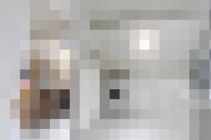 Klokkenmaker 10 Oost West en Middelbeers thumbnail 33