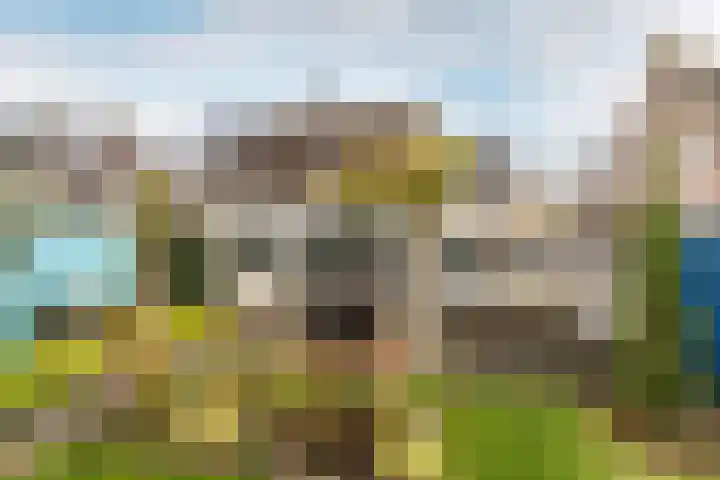 Klokkenmaker 10 Oost West en Middelbeers thumbnail 36