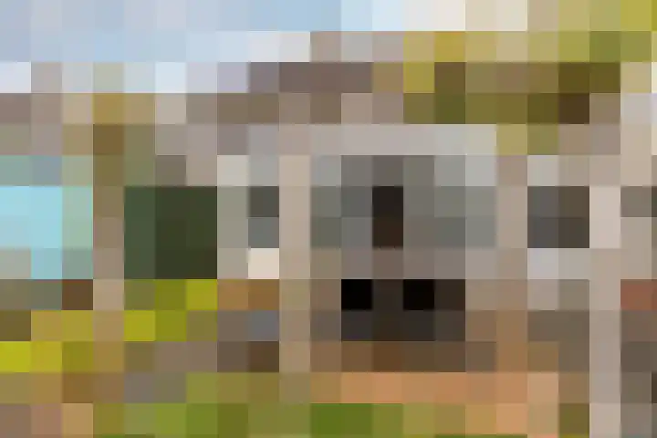 Klokkenmaker 10 Oost West en Middelbeers thumbnail 37